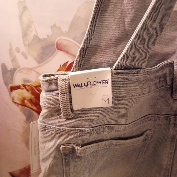 Overall shorts - Picture 3 of 4